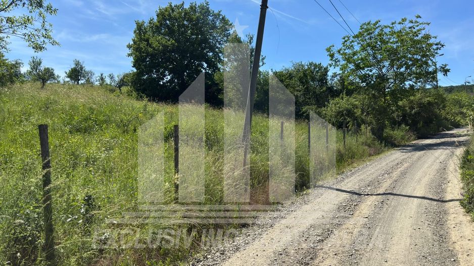Teren intravilan | 1654 mp | 21 ml deschidere | Seigau - Poză 1