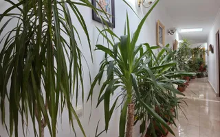 VANZARE CASA P+1 | 5 CAMERE | ZONA ROSETTI - Poză 21