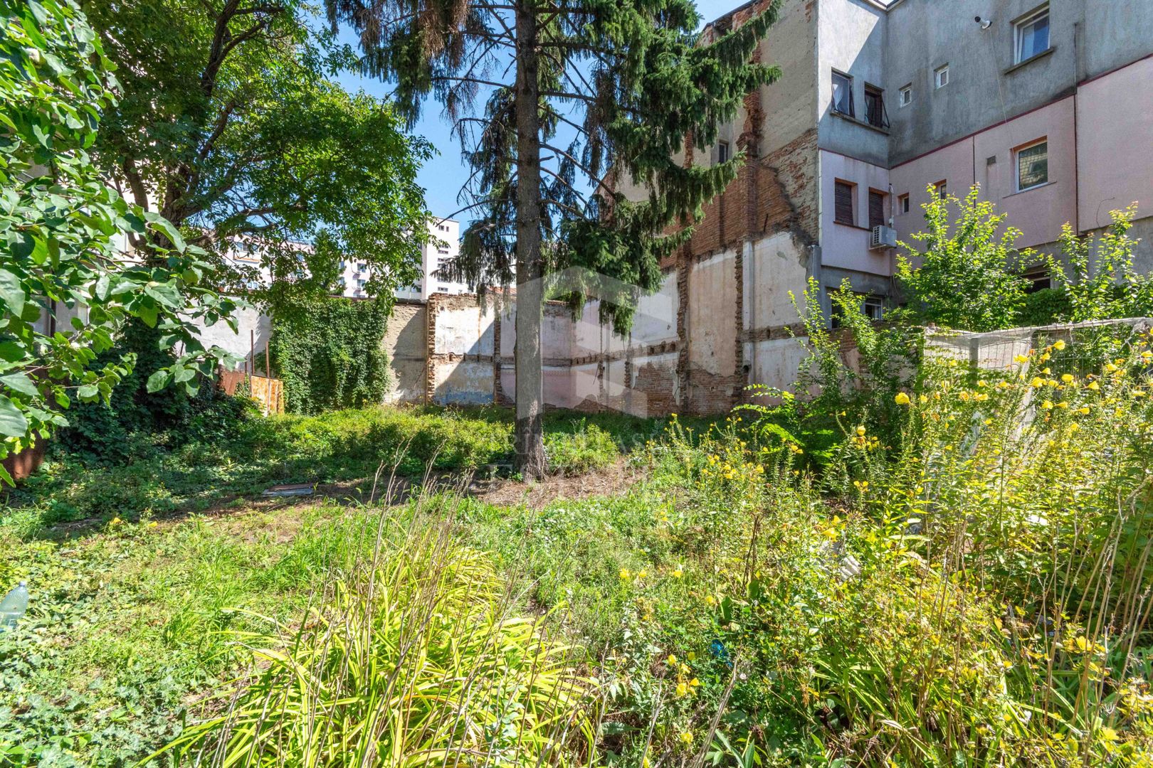 Stefan cel Mare - Tunari - Barbu Mumuleanu teren 381 mp - Poză 2