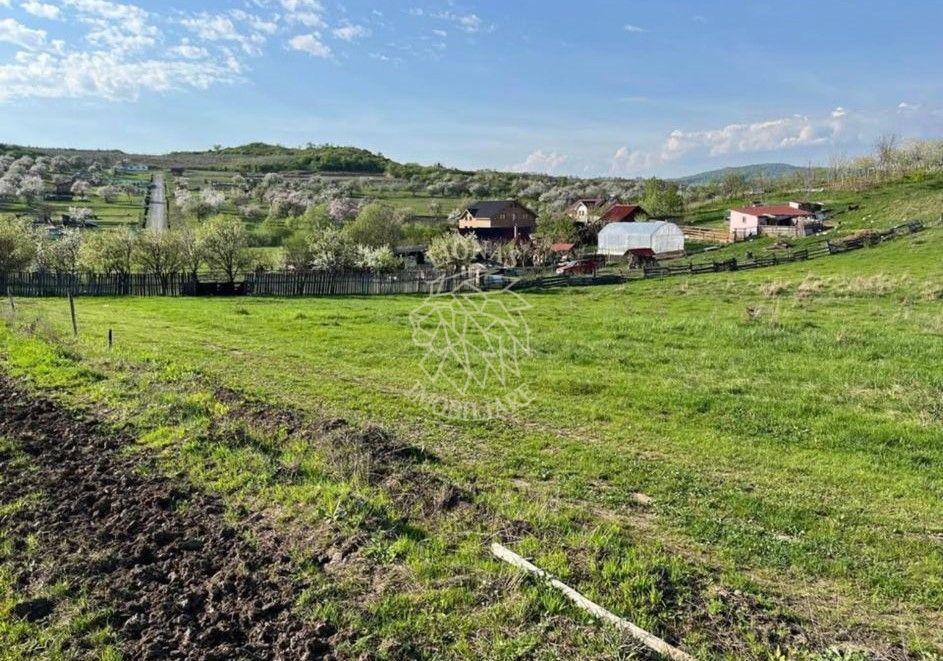 Teren 3300 mp-investitie, case de vacanta, agricultura-Valea Sigmirului - Poză 1
