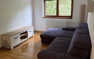 Apartament 3 camere Lipovei renovat - Poză 3