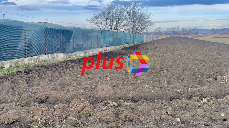 Teren in Stupini 14400mp - Poză 3