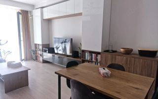 Apartament 2 camere  Dumbrvita - Poză 2