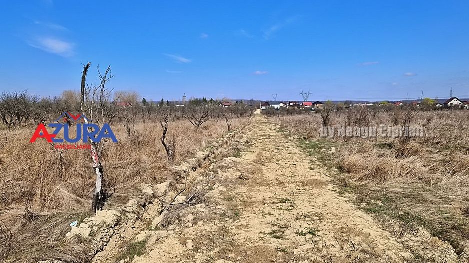 AZURA IMobiliare - Teren Iefin Bascov 3km de Giratoriu - Poză 2