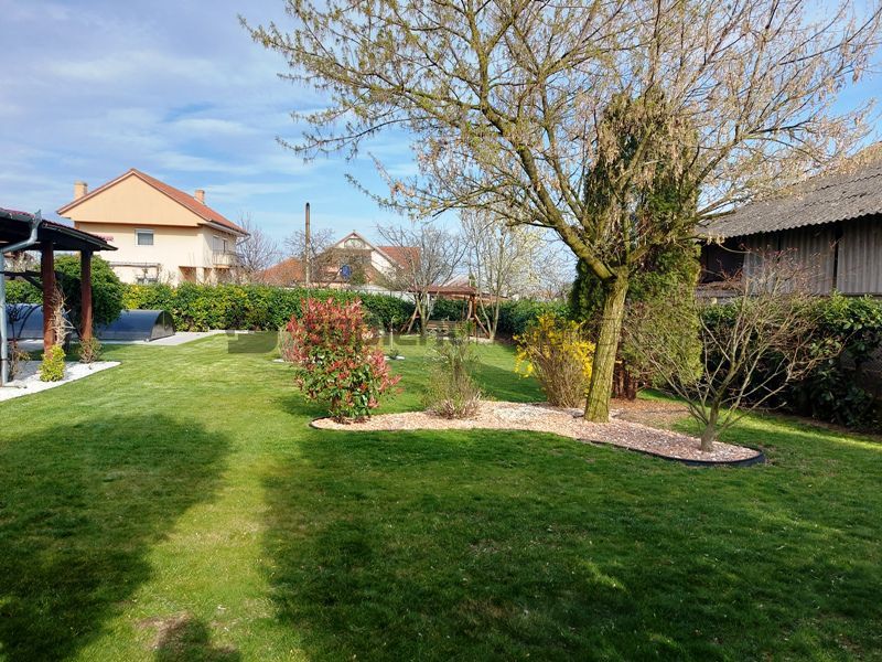 De vanzare casa si spatiu de restaurant in Tarian - Poză 24