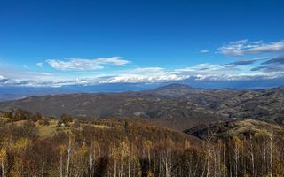 Teren extravilan 2ha, priveliste panoramica spre munti /Poiana Marului - Poză 4