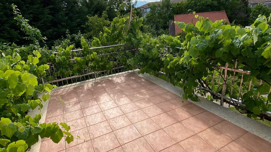 Generoasa si spatioasa - Poză 17