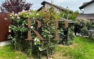 Casa Individuala 4 camere Samurcasi-Buftea* - Poză 23