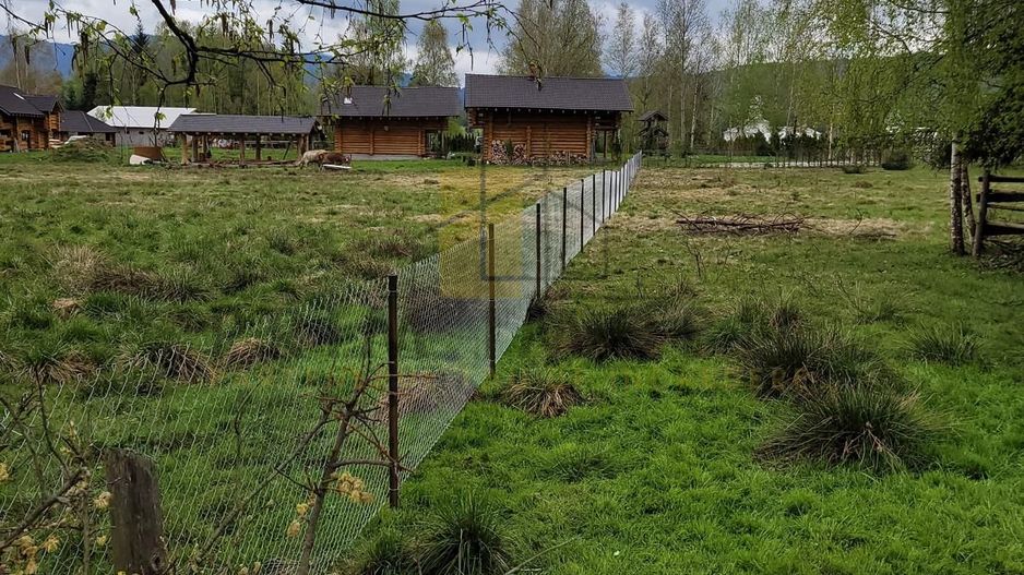 Teren Saru Dornei / Neagra Sarului - oportunitate investitie - Poză 3