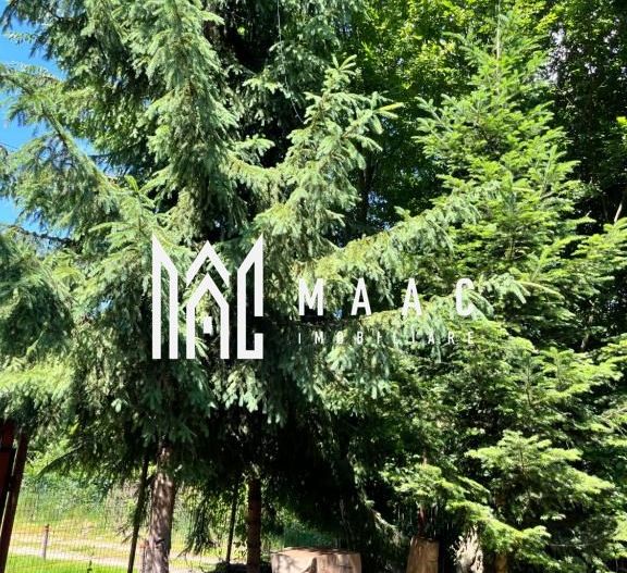 Pensiune Turistica 360MPU | Porumbacu de Sus | - Poză 4