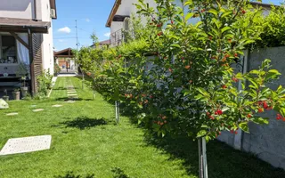 Duplex Dumbravita, mobilat si utilat - Poză 17