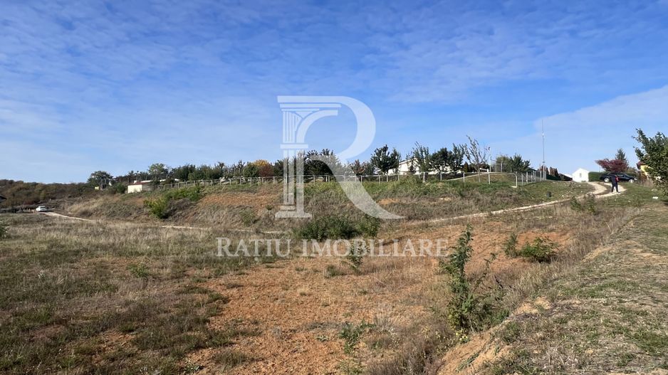 Teren intravilan 3961 MP | Paleu | Bihor - Poză 3