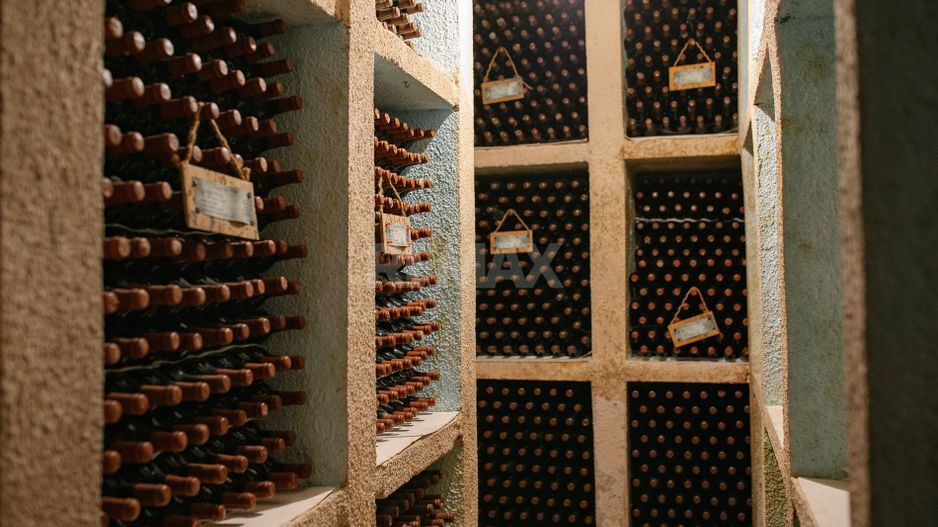 Complex Vitivinicol de Referință în Sudul Moldovei | 206 ha teren agricol | Investiție strategică - Poză 17