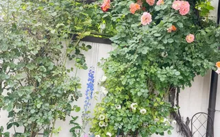 Casa cu 4 camere,237mp,zona strada Lunga - Poză 13