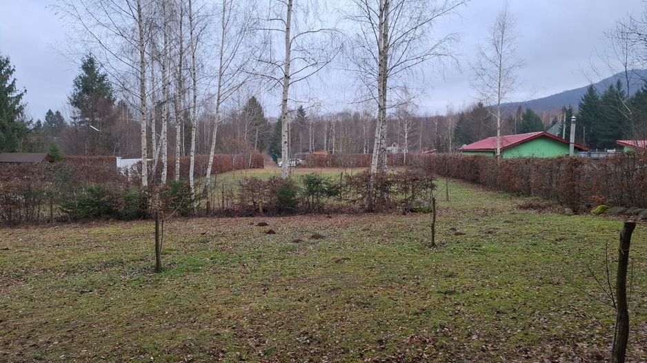 Teren deosebit pozitionat, cu livada, langa padure,  pe Valea Avrigului - Poză 10