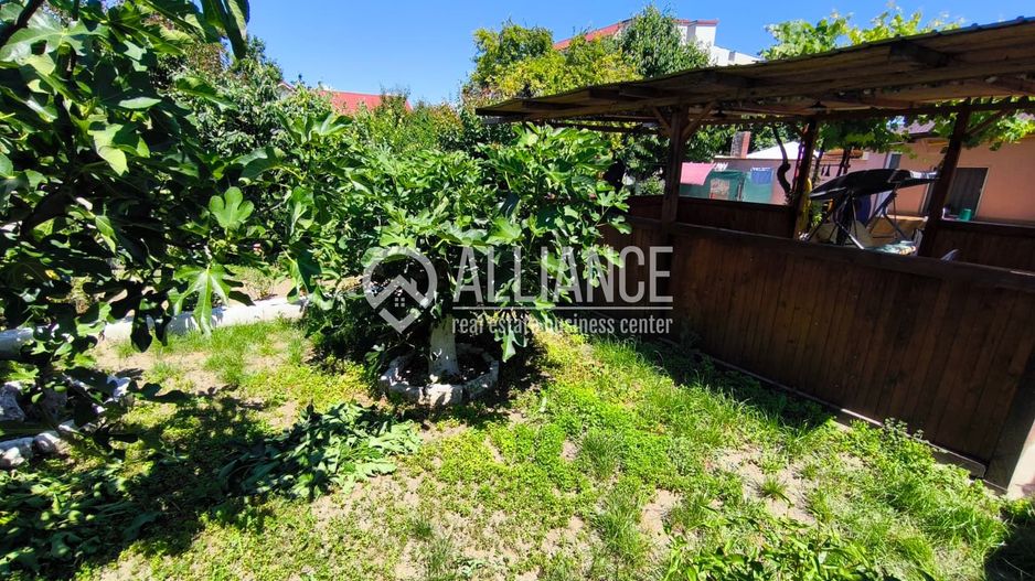 VIILE NOI - casa cu o curte generoasa disponibila imediat - Poză 18