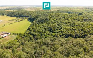 TEREN AGRICOL EXTRAVILAN  22.900 MP LIPOVA - Poză 16