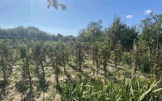 Casa Individuala Renovata cu 1600mp Teren - Poză 3