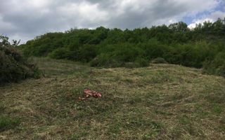 Teren intravilan 1550-Dealul Jelnei -schimb cu garsoniera - Poză 2