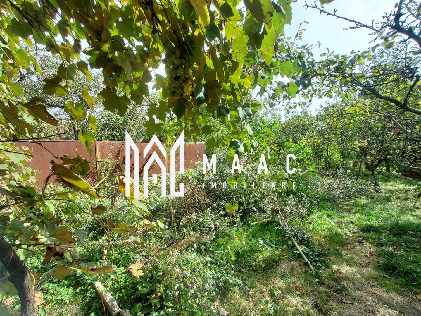 Casa 3 Camere | 67 MPU | 507 Teren | Calea Poplacii - Poză 21