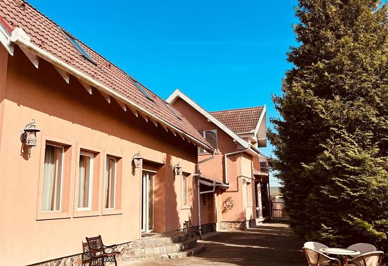 Vila remarcabila+casa boiereasca,in pretios areal de 2.100 mp, Santana de Mures - Poză 19