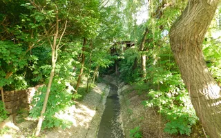 Vilă cu 1.350 mp teren în mijlocul orașului Grădina Botanică - Poză 20