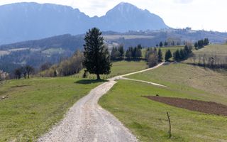 Teren intravilan în Poiana Mărului, 3.791 mp cu priveliste panoramica - Poză 1