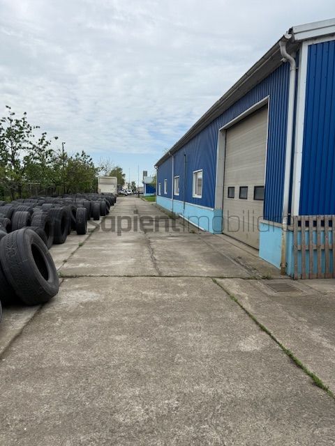 Hala de inchiriat si depozit Calea Borsului - Poză 3