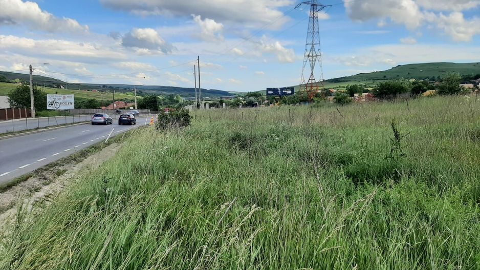 Teren de vanzare in Martinesti - Poză 1