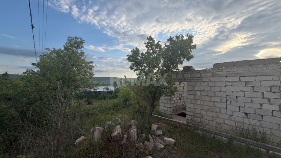 Lot Pomicol Suruceni - Poză 3