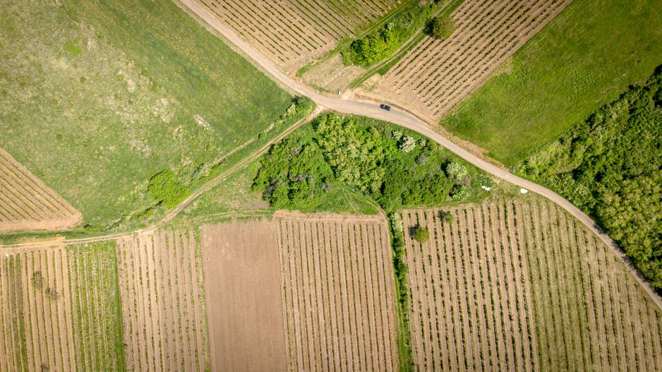 Teren extravilan - 3654 mp Dealul Șiriei - Poză 4