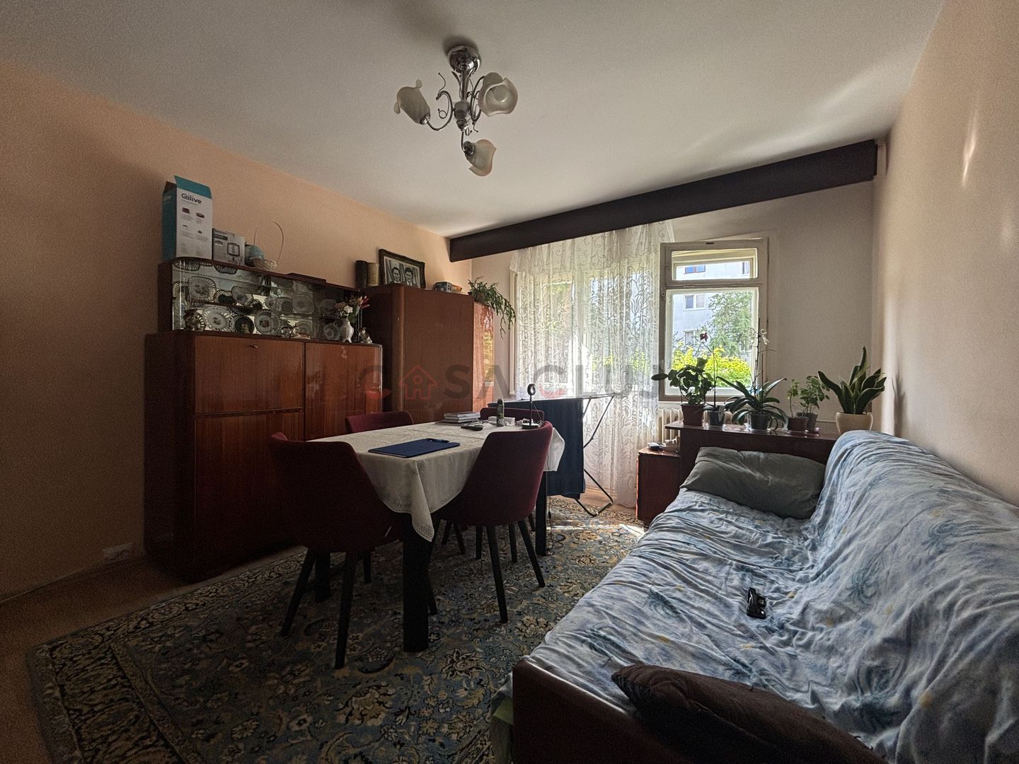 Aleea Retezat!!! - Poză 2