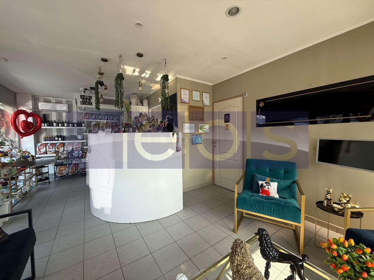 VANZARE SPATIU COMERCIAL-AVIATIEI | 188 MP | PARTER | VITRINA STRADALA - Poză 3