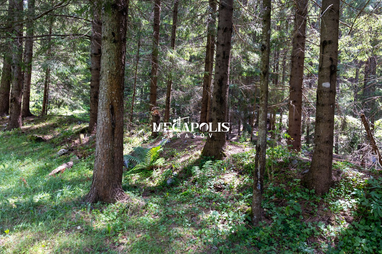 Pretabil Hotel,Pensiune,Case de Vacanta/Utilitati/PUZ - Poză 17