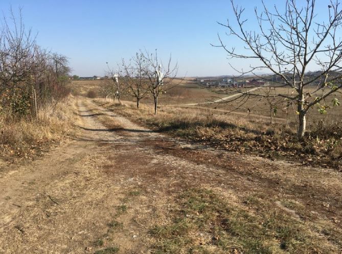 Casa Nojorid - Poză 3