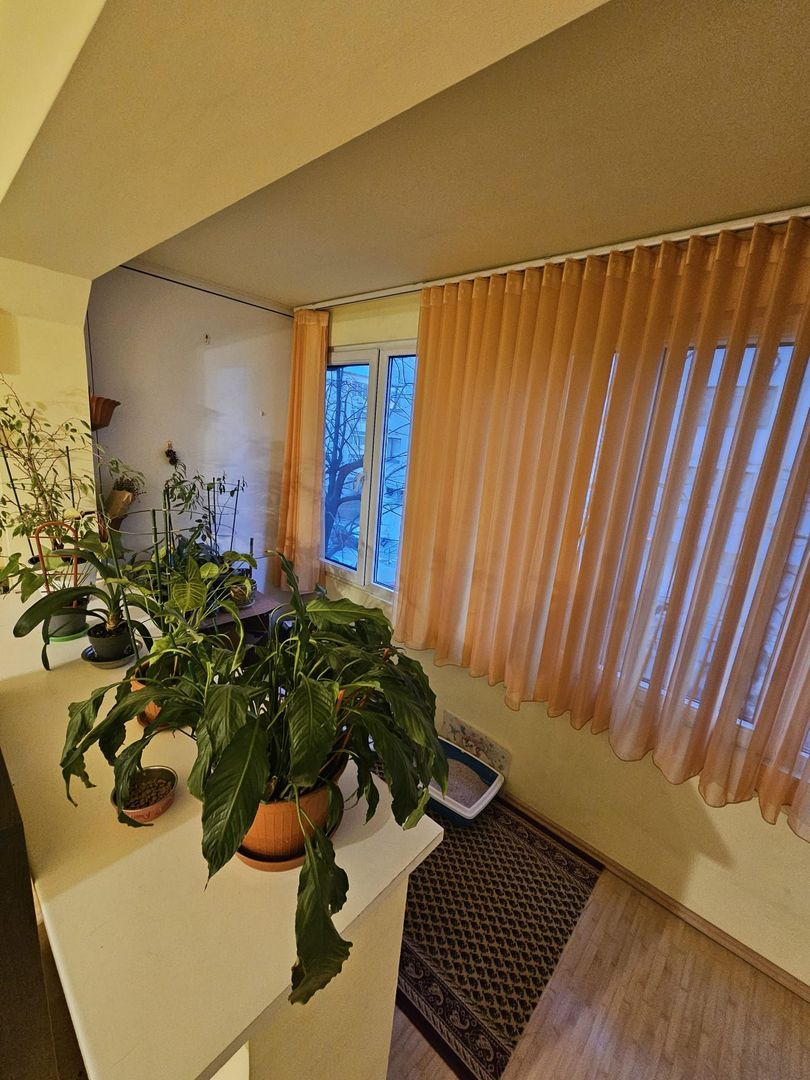 Apartament 3 decomandate- Brazda lui Novac - Poză 9