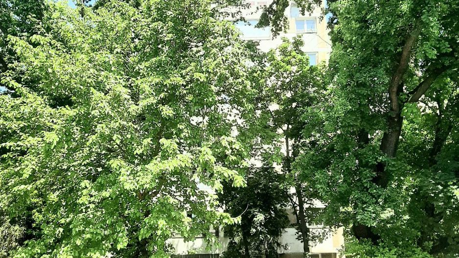 Drumul Taberei – Valea Roșie - Poză 1