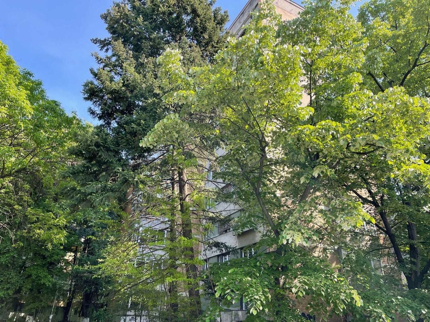 Apartament  2 camere -  zona Drumul Taberei - Poză 4