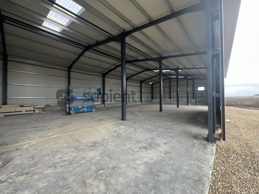 Sapient | Hală nouă + anexă birouri _ intrare Cheriu - Poză 11