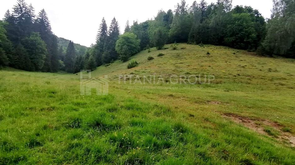 Teren intravilan langa Poiana Brașov, 52 mp front strdal, Utilitati in zona - Poză 5