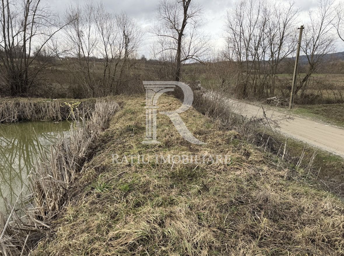 Pescărie cu teren intravilan | Drăgești | Bihor - Poză 6