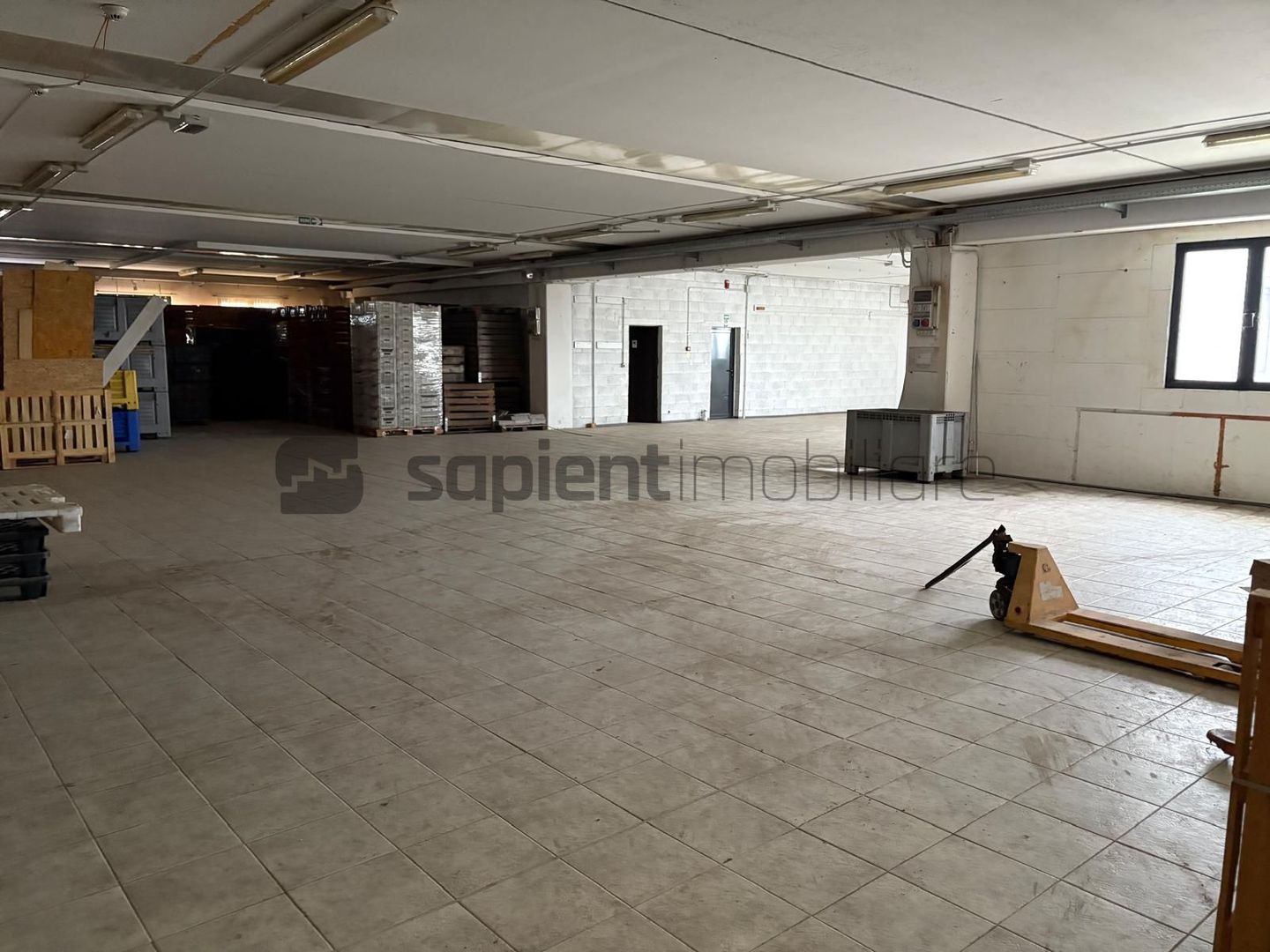 Sapient | Hală situata în com. Borș - Poză 4