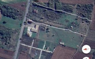Teren intravilan | 20.000 MP | Parcelabil | Daia - Poză 3