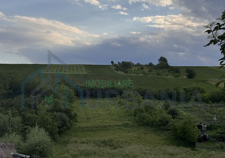 Teren intravilan de 6000 mp in Coarnele Caprei, Valea Babei, cu iesire la strada principala - Poză 1