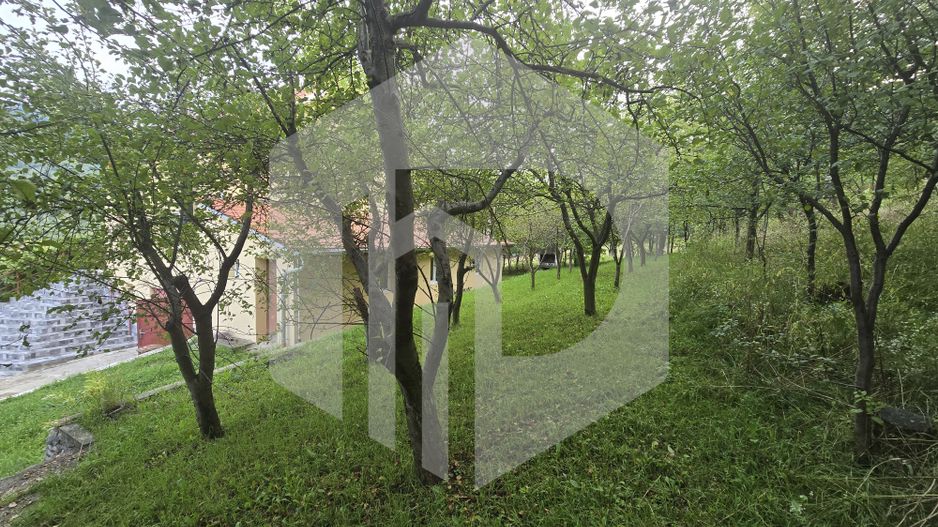 Casa individuala 4 camere teren 3825 mp Cisnadioara - Poză 10