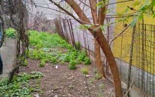 Casă 2 camere | 50 mp | teren 250 mp | Oportunitate investiție - Poză 6