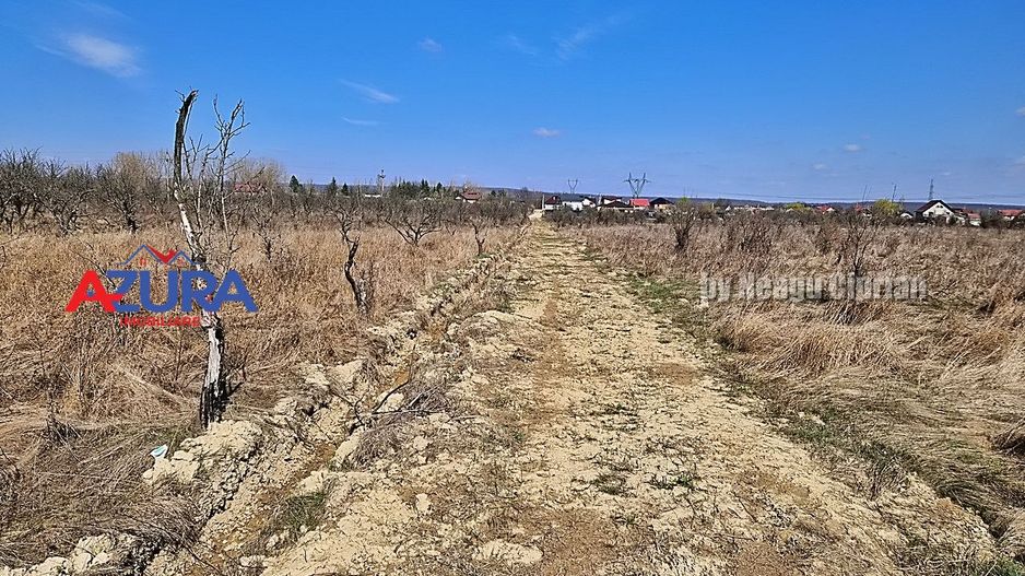 AZURA IMobiliare - Teren Iefin Bascov 3km de Giratoriu - Poză 8