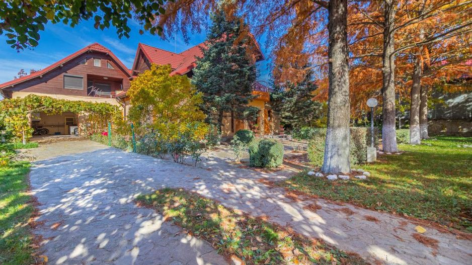 Casa din Natura Balotesti-6300 mp teren-Acces privat la lac si ponton propriu - Poză 7