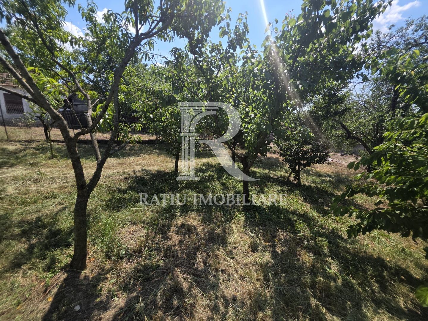 Casa de vânzare cu teren generos | Sumugiu | Bihor - Poză 33