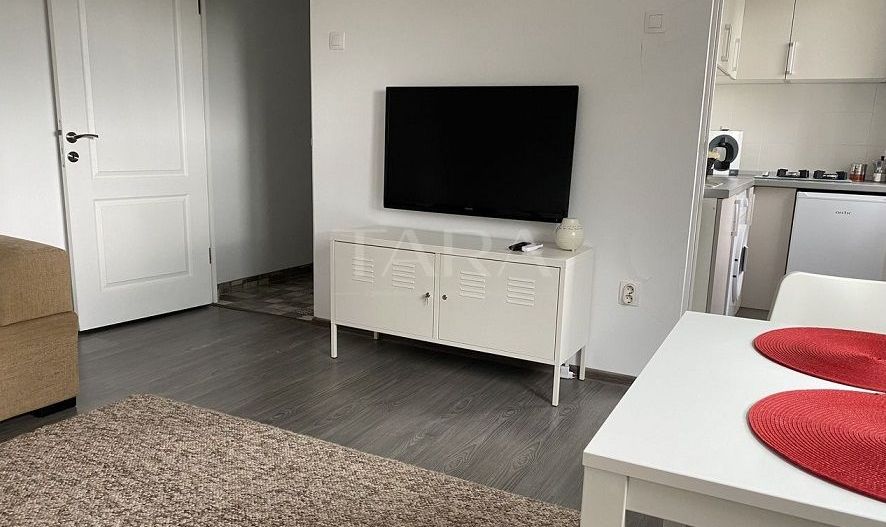 Apartament 2 camere, renovat, în cartierul Gheorgheni – zona Diana - Poză 2